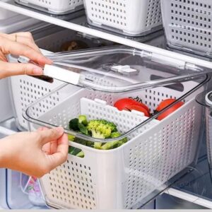 Bær og grønnsaksboks stor